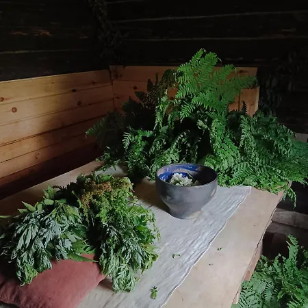Garsnieku Taurinu Maja Gulbene