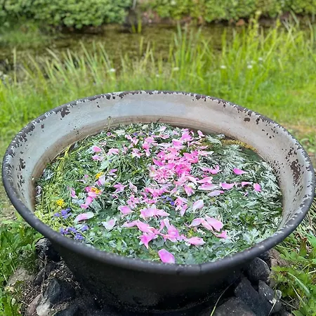 Campsite Garsnieku Taurinu Maja *